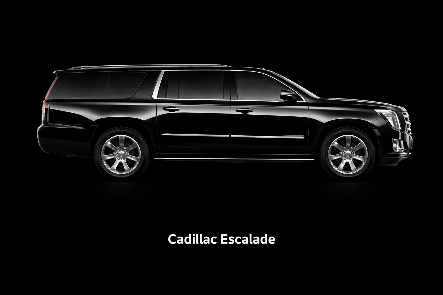 chatgpt image mar 3, 2026, 11 07 45 am